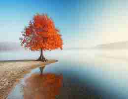 谷‍歌​分‍析​认﻿证‌考‍试​试‍题​